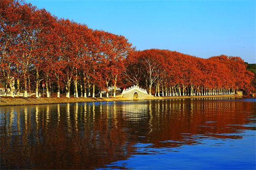 ޺Ļڶ.jpg