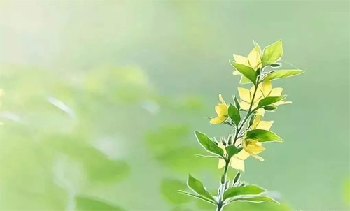 乐王先洪随笔年后“话年”.jpg