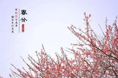 ʫ贺.jpg