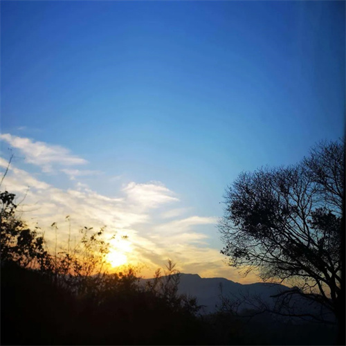 乐刘才汉诗歌《亲情飘逸晚霞中》读后.jpg