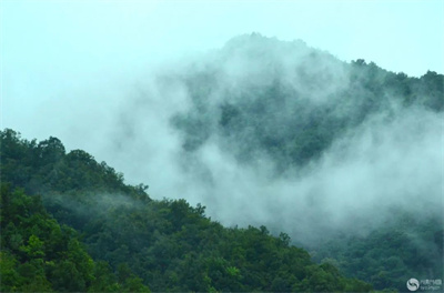 ФƽʫĹҷ.jpg