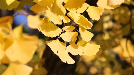 ʱʫʱڼ˼.jpg